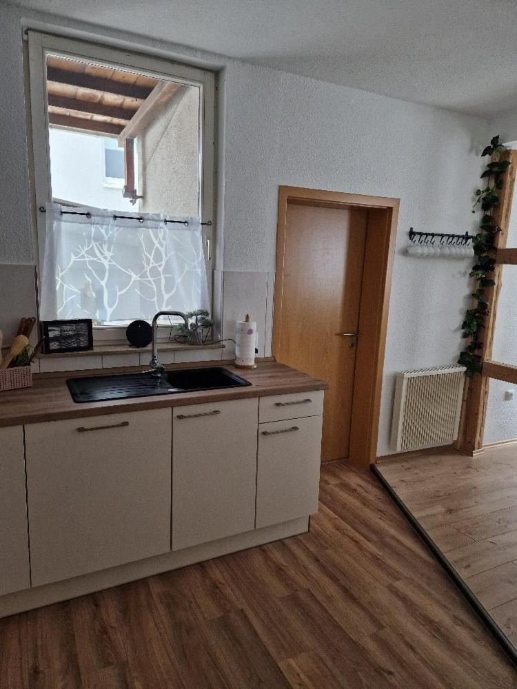 Ferienhaus Reschwitzer Auszeit Saalfeld Saale Exteriér fotografie